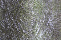 Geisiadar fibreglass roof work