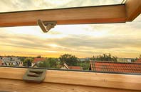 rated Geisiadar roof window companies